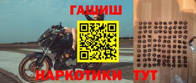 стафф Ставрополь
