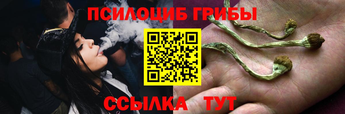 Галлюциногенные грибы Psilocybe  Вход с VPN  Батайск 